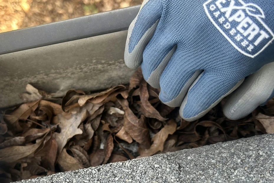 Gutter Cleaning Graysville